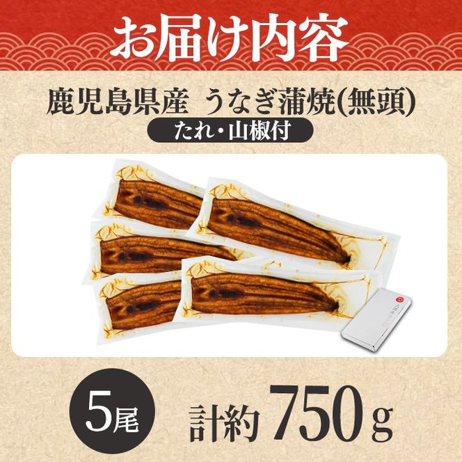 【0294315a】東串良町のうなぎ蒲焼(無頭)(5尾・計約750g・タレ、山椒付)うなぎ 高級 ウナギ 鰻 国産 蒲焼 蒲焼き たれ 鹿児島 ふるさと 人気【アクアおおすみ】