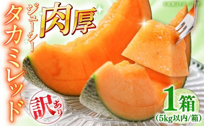 y茧쓇szy2026N5?z󂠂 ^J~ bh 1 5kgȓ i3`6ʁj/  ߂ t[c ʕ / 쓇s / 쓇ʕ[SCV036]