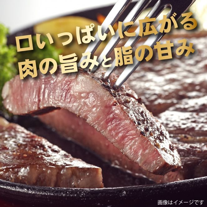 【新鮮チルド発送!!】A5等級宮崎牛特選サーロインステーキ 3枚 600g（黒毛和牛 牛肉 宮崎牛 A5 サーロイン ステーキ 焼肉 宮崎県）