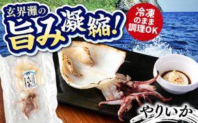 糸島玄界灘産 やりいか 1枚  糸島市 / 有限会社 糸島海産 / イカ / 肴[AMR010]