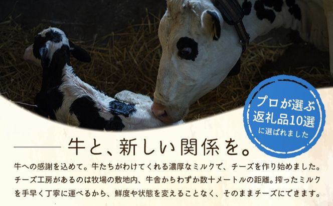 竹下牧場 takeshita farm リコッタチーズセット 計470g【24017】