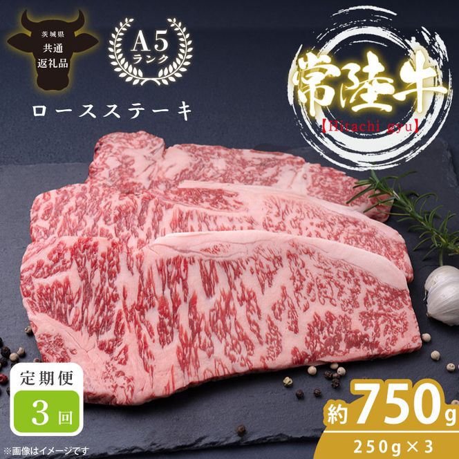 【定期便特別価格】【3回定期便】最高級A4.A5ランク 常陸牛ロースステーキ750ｇ（250g×3）×3回【人気肉 お肉 牛肉 和牛 黒毛和牛 国産黒毛和牛 ロース肉 ステーキ 国産牛 焼肉 焼き肉 バーベキュー BBQ A5 ブランド牛】(CR110)