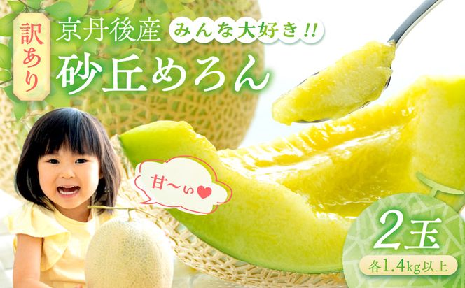 【先行予約】みんな大好き甘～ぃ！京丹後砂丘めろん！ 2玉（2026年7月下旬～発送）　YK00530
