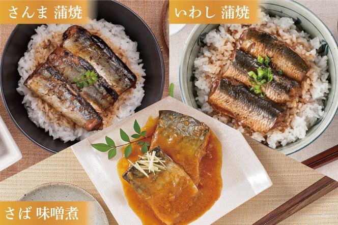 三陸食堂 煮魚 惣菜 セット 9種 12パック [阿部長商店 宮城県 気仙沼市 20565442] 簡単調理 レトルト 魚 レンジ 長期保存 魚料理 和食 常温保存 さんま いわし さば ぶり かつお 蒲焼 味噌煮 つみれ汁 和食 常温保存 個包装