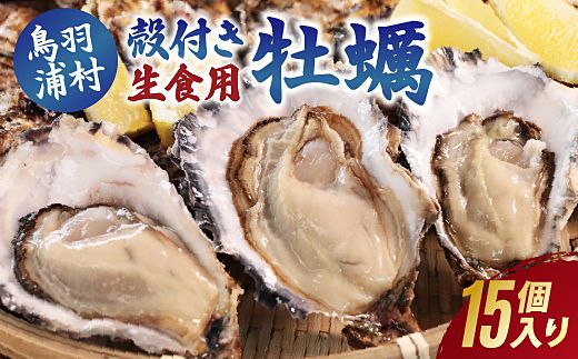 【先行予約／2026年12月より順次発送】I-55生食用浦村牡蠣１５個入りセット