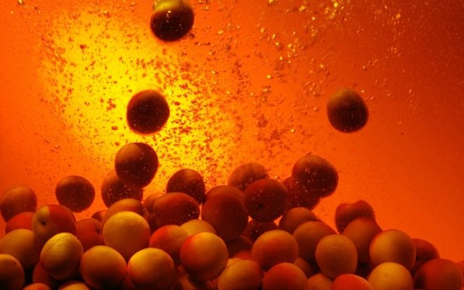 チョーヤ梅酒 TheCHOYA ウメッシュ 250ml缶×24本 【igge0014】