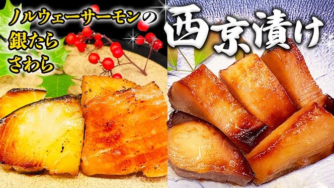y錧vszЂ lߍ킹 ZbgimEF[T[E₽Ej L ^  L VP   TP  T   VN   ̍ y Z O [BO004us]