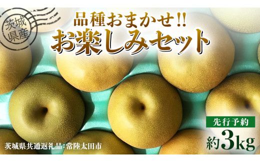 【 先行予約 】茨城県産 梨 品種おまかせお楽しみセット 約3kg 6玉～10玉 ( 茨城県共通返礼品 : 常陸太田市 )【 2026年 9月上旬頃より発送 】  フルーツ 果物 国産 日本産 梨 ナシ なし 和梨 期間限定 数量限定