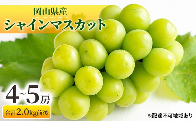 ぶどう 2026年 先行予約 シャインマスカット 晴王 4～5房 合計2.0kg前後 マスカット ブドウ 葡萄  岡山県産 国産 フルーツ 果物 ギフト 
