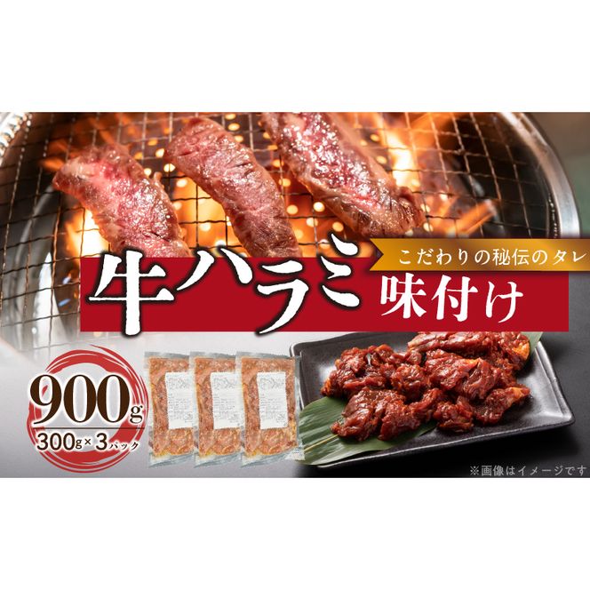 ymqszyH ېzn~t 900