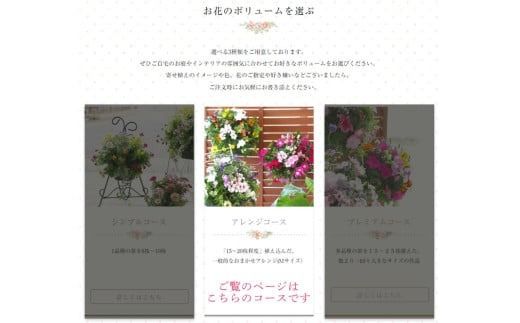 A031【ふるさと納税】花うるる 定期便 ハンギング 寄せ植え アレンジコース【全6回】 (サブスク ハンギングバスケット 母の日 春 夏 秋 冬 定期購入 ギフト 花 フラワー 玄関 プレゼント 通販 鉢植え おしゃれ 送料無料 玄関 ガーデニング フラワーギフト 完成品 花苗 寄植え