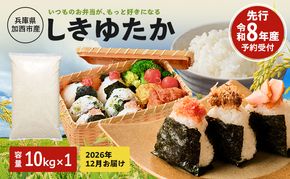 【令和8年産 先行受付】しきゆたか 白米 10kg《2026年12月発送》