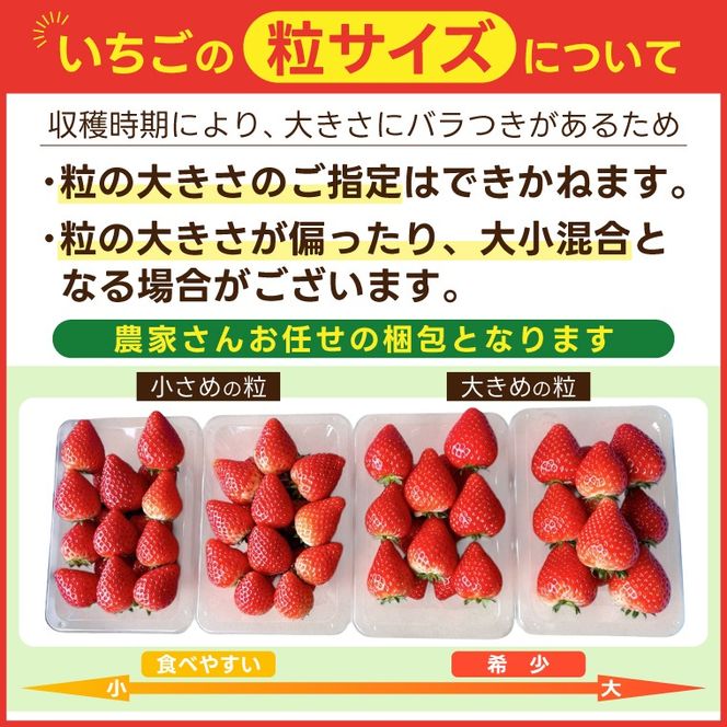 【先行予約】【3回定期便】栃木県産 とちあいか 合計1500g (250g×2パック✕3回) 農家直送 家庭用 和饗エコファーム【栃木県共通返礼品/高根沢町産】｜定期便 栃木県 ふるさと納税 いちご イチゴ 苺 旬 果物 フルーツ とちあいか(DW004)