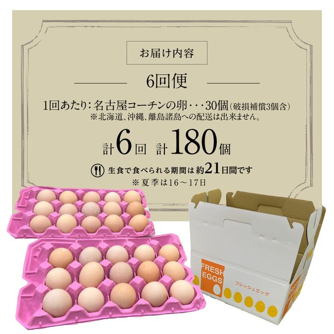 【6回便】名古屋コーチン卵(30個入り)×6回（計180個） [006K03-T]