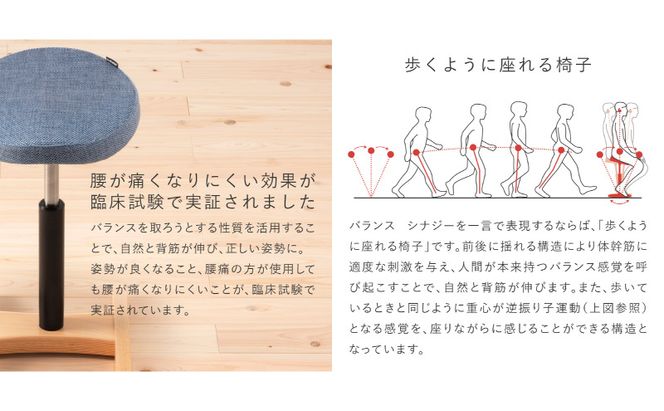 椅子 バランスシナジー カバーなし 選べる シート カラー 腰痛対策椅子 腰痛対策 家具