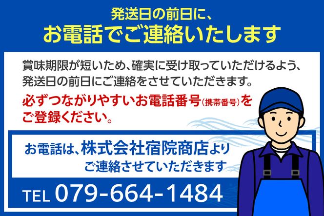 【兵庫県香住産 香住の朝獲れ地魚セット 期間限定 新鮮 鮮魚 4～5種類詰め合わせ（1.5kg～2kg程度） 冷蔵】旬の鮮魚 内蔵処理可 期間限定 ふるさと納税 お刺身 煮魚 焼魚 フライ 詰め合わせ セット 兵庫県 香美町 香住 宿院商店 33-11