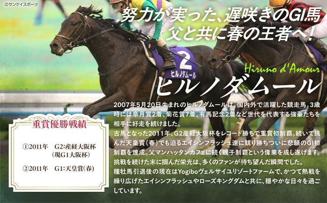 【ヒルノダムール】クリアファイル 写真5枚入り BRTV303