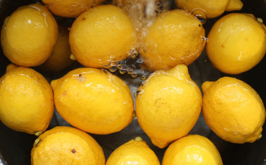 wafu レモンミード（蜂蜜のお酒） A-MR-A01A