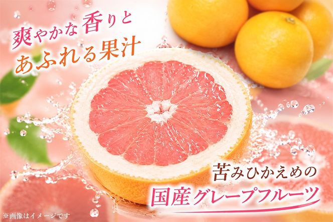 【2027年3月中旬より発送開始】さがんルビー 5kg(グレープフルーツ)【柑橘 フルーツ デザート ジューシー リフレッシュ】(H116149)
