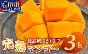 《2026年6月下旬～7月発送》【先行予約】最高糖度20度！？ 完熟！3Lサイズ 石垣島マンゴー 3玉入り【 沖縄 石垣島 石垣 八重山 マンゴー 完熟 期間限定 数量限定 沖縄県 石垣島産 】TF-28_R8