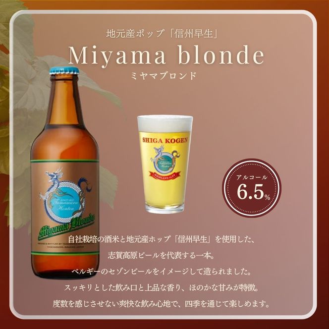 父の日 定期便 3ヶ月 志賀高原ビール12本セット 【 クラフトビール 志賀高原ビール 飲み比べセット 玉村本店 ビール 詰め合わせ セット 地ビール 飲み比べ 黒ビール IPA ipa ペールエール 酒 お酒 長野 定期 お楽しみ 3回 】