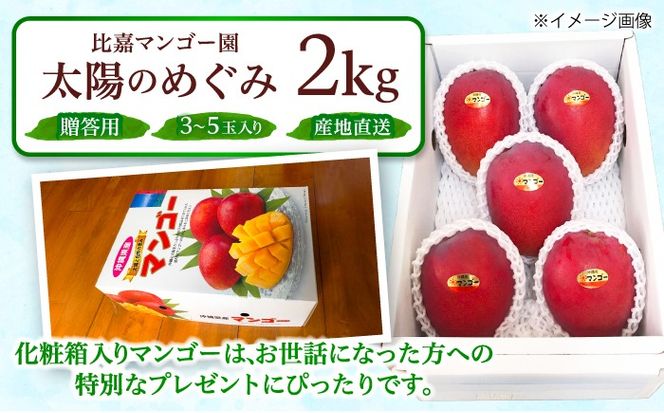 【2026年7月上旬より順次発送】【贈答用】沖縄市産マンゴー「太陽のめぐみ」 2kg(3〜5玉) (化粧箱入り) 南国フルーツ 産地直送 新鮮 沖縄県産 ギフト 沖縄市 / 比嘉マンゴー園[BCEW002]