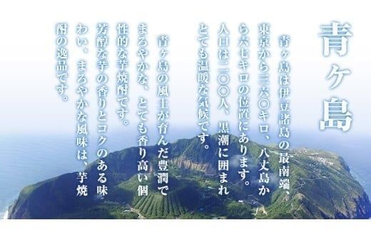 まぼろしの 芋焼酎 青酎 （ 筑西市産 井上さつま 使用 ） 2本セット 焼酎 芋 贈答 ギフト 青ヶ島酒造 お酒 酒 アルコール [BW072ci]