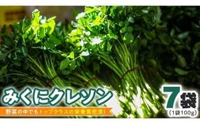 みくにクレソン100g×7袋 美容 健康 野菜 スーパーフード クレソン [CY002ci]
