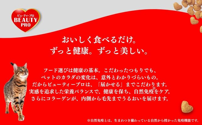 日本ペットフード ビューティープロ キャット 下部尿路の健康維持 1歳から 560g（80g×7袋入）×10袋（ケース） キャットフード