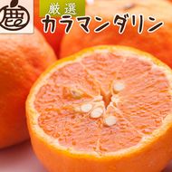 ＜4月より発送＞厳選 カラマンダリン5kg+250g（傷み補償分）◇【南津海・なつみ】【希少な春柑橘】【みかんと同じように食べられます】 ※北海道・沖縄・離島への配送不可 ※2026年4月上旬～5月下旬頃に順次発送予定