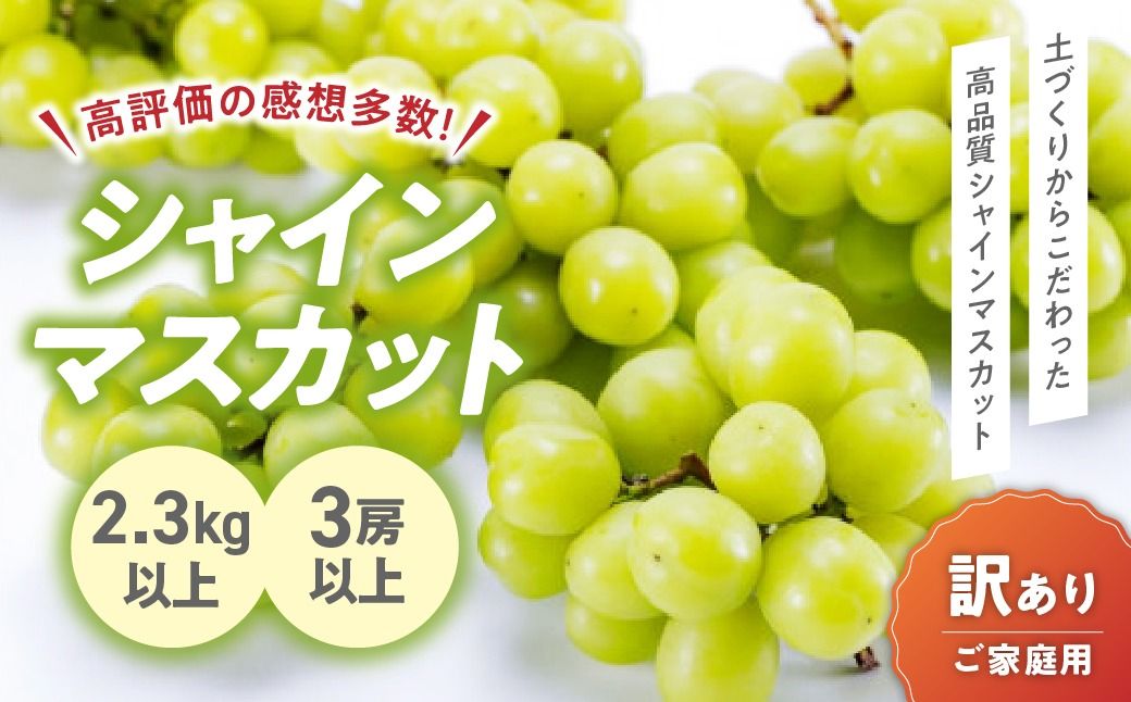 [2025年発送]訳あり 2.3kg 3房以上 シャインマスカット 先行予約 山梨県産 国産 産地直送 人気 おすすめ 贈答 ギフト お取り寄せ フルーツ 果物 くだもの ぶどう ブドウ 葡萄 わけあり ワケアリ 新鮮 甘い 皮ごと 甲斐市 BI-1