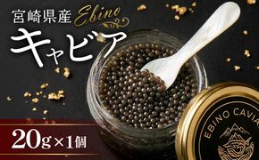 【ふるさと納税】キャビア 国産 20g 冷凍 宮崎県 えびの市産