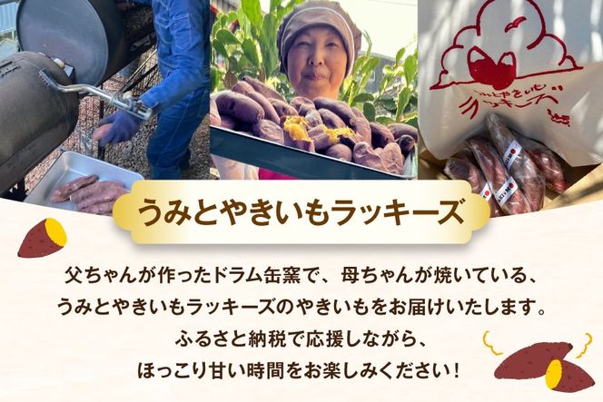 【期間限定発送】 焼き芋 「元気が出るやきいも（フローズン）」紅はるか 1kg 冷凍 [うみとやきいもラッキーズ 静岡県 吉田町 22424683] やきいも 焼きいも 焼芋 ヤキイモ 焼イモ おいも 芋 いも べにはるか さつま芋 さつまいも サツマイモ おやつ スイーツ