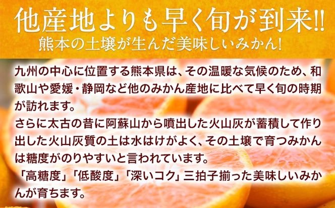 ご家庭用 熊本 大粒みかん 約5kg (3L～5Lサイズ)大玉 みかん 先行予約 熊本 ちょっと 訳あり 傷 たっぷり 熊本県産 熊本県 期間限定 フルーツ 旬 柑橘 長洲町 大粒みかん《2026年1月中旬-2月末頃出荷》---fn_notbmkn_bc1_r7_7500_5kg---