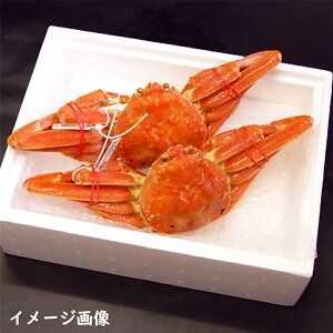 【ふるさと納税】松葉ガニの本場より プロ茹で松葉ガニ(冷凍)　約400g×5枚【1264431】