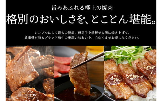 【累計2万パック突破！】但馬牛経産牛「焼肉用」（肩・モモ）1kg(500g×2) 020AA11N.／焼肉セット 黒毛和牛 いちかわ精肉店 経産牛 牛肉 肉 お肉 国産 bbq バーベキュー 焼き肉セット アウトドア キャンプ 冷凍 焼き肉用