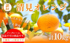 【先行予約】訳あり 清見オレンジ計10kg ※離島への配送不可（2027年3月上旬頃より順次発送予定）IKTAC009