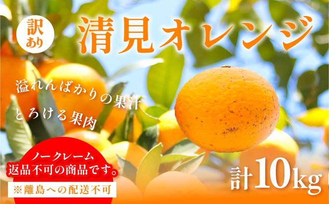 【先行予約】訳あり 清見オレンジ計10kg ※離島への配送不可（2027年3月上旬頃より順次発送予定）IKTAC009