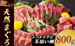 訳あり 《 天然メバチマグロ 》 800g  (不揃い柵)　サク 柵 メバチ 目鉢 マグロ 鮪 まぐろ 100% 冷凍 刺身 海鮮 丼 刺し身 小分け 高知 室戸 10000円 10,000 tk167!