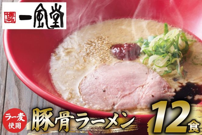 ラーメン 一風堂 とんこつラーメン 赤丸新味 ラー麦麺 スープ 12食 セット [地域商社ふるさぽ 福岡県 筑紫野市 21761441] 博多 福岡 らーめん ラー麦 とんこつ 豚骨 博多ラーメン 豚骨ラーメン
