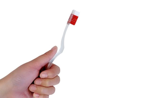 富士山歯ブラシ　4本セット（赤2本、青2本） fain0010