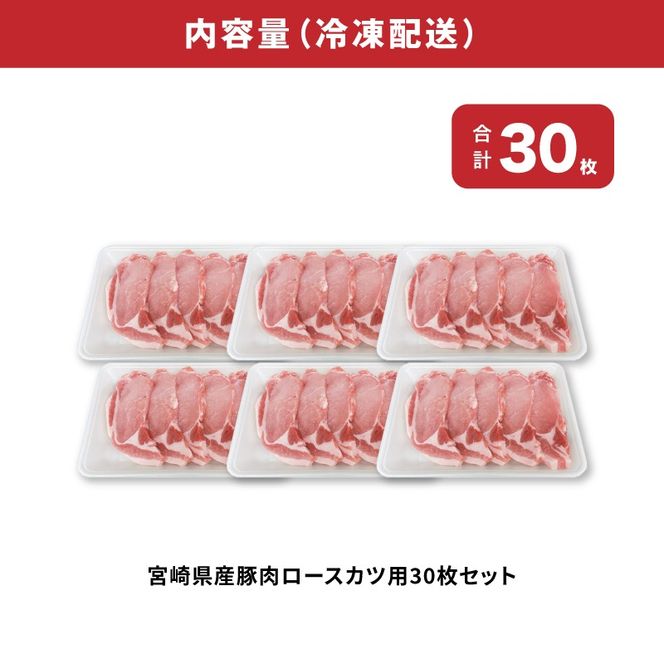 宮崎県産豚肉ロースカツ用30枚セット　K65_0004