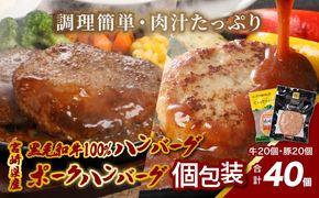 宮崎県産黒毛和牛100%ハンバーグ20個宮崎県産「自社ブランド豚」山豚100%ハンバーグ20個セット K16_0158