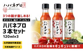 ハバネブロ3本セット オリジナル・柚子・アールグレイ 各120ml｜京都 ハバネロ ホットソース 辛口 調味料 人気セット[ 自然素材のハバネロソース 国産ハバネロ 化学調味料無添加 人気 おすすめ 調味料 香辛料 ソース ギフト プレゼント お取り寄せ 通販 送料無料 ふるさと納税 ] 261009_A-ABN002