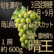 [HS]【定期便全3回】ぶどう先行予約7月・8月・9月発送温室シャインマスカット晴王1房約600g ブドウ 葡萄  岡山県産 国産 フルーツ 果物 ギフト デザート 食後 酸味が少ない 産地直送