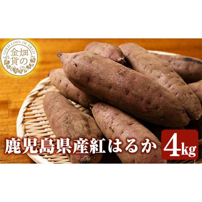 a174 畑の金貨・紅はるか4kg(生芋)【甘いも販売所】姶良市 国産 さつま芋 サツマイモ べにはるか 貯蔵 熟成 蜜芋 蜜いも さつまいも