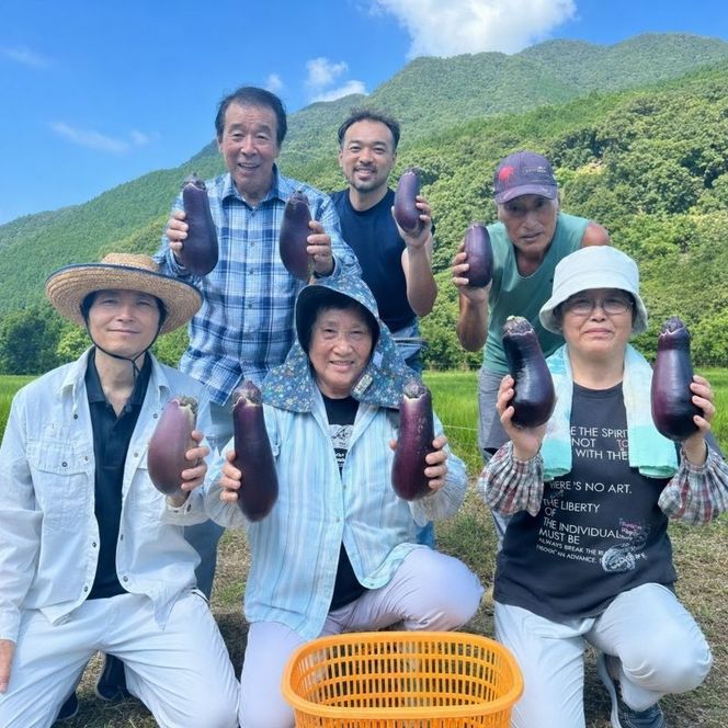 【 伝統野菜 ぼたなす 秀品 1.5㎏ 】 なす ナス ボタナス 焼きナス ナスレシピ 野菜 とろける食感 クリーミー 人気 お取り寄せ 野菜セット 甘い 産地直送 新鮮 野菜 希少 吉良川町 日南 大平 集落活動センター ひなたぼっこ 高知県 室戸市