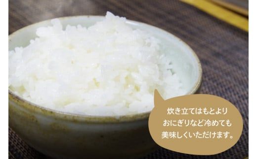 BN001-1　【先行予約】【令和６年産】【数量限定】　コシヒカリ玄米10kg