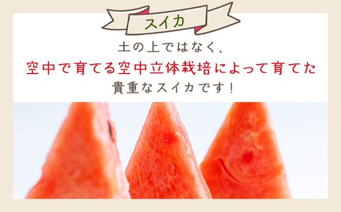 【先行予約】 スイカ 2玉 yr-0120
