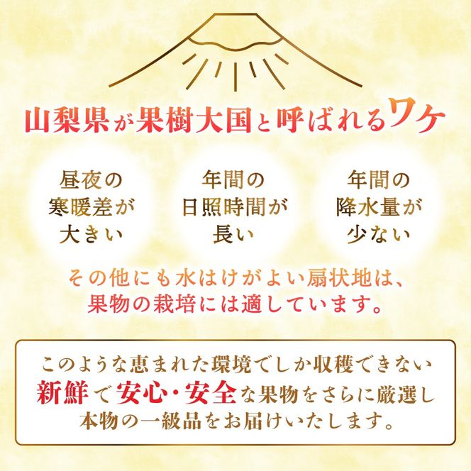 【2025年先行予約】【 定期便 】 厳選 旬のフルーツ定期便 シャインマスカット 桃 黒ぶどう 果物 フルーツ くだもの 旬 もも ぶどう 高級 山梨 富士吉田